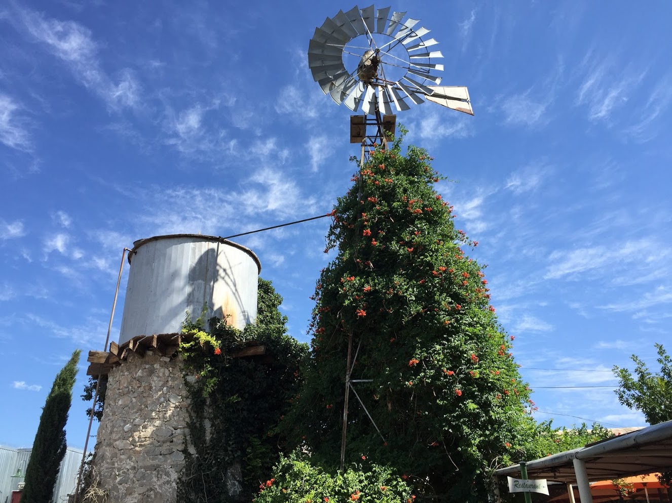 The old windmill.