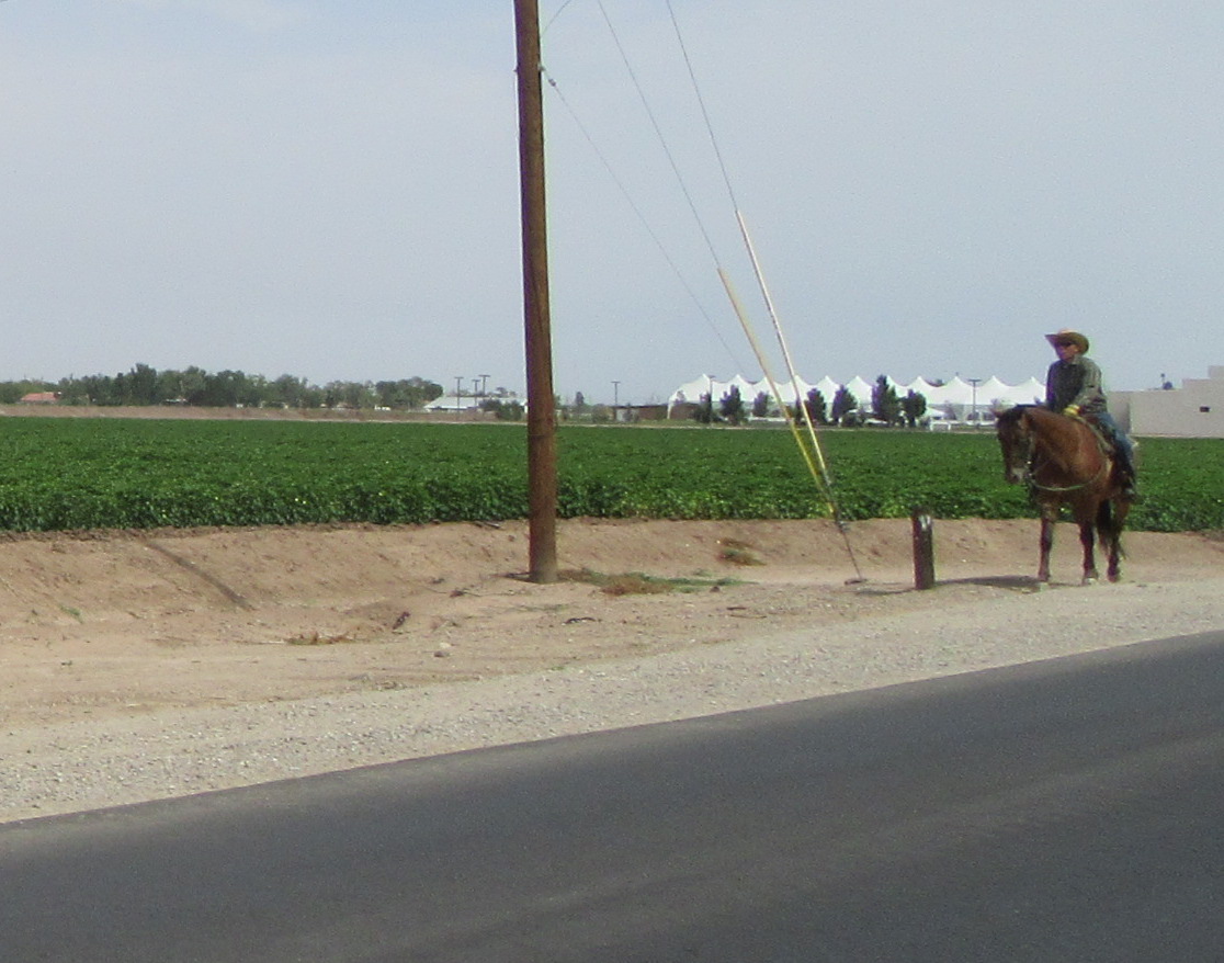 Riding a horse.