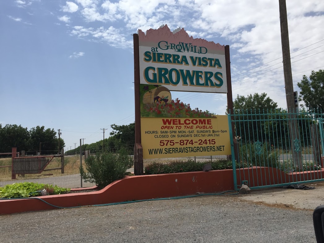 Herb Lemon Verbena  Sierra Vista Growers