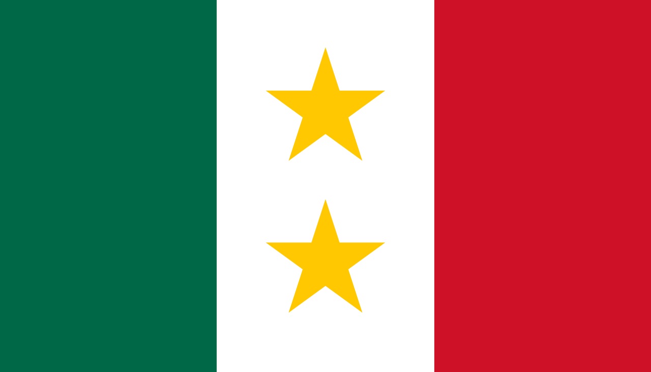 The flag of Coahuila y Tejas had two stars.