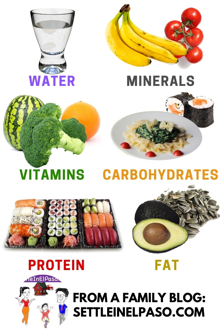 Six groups of food nutrients with pictures. #food #parenting #healthyfood #health #healthtips || food groups || food groups preschool || food groups for kids || food groups for adults || food groups kindergarten
