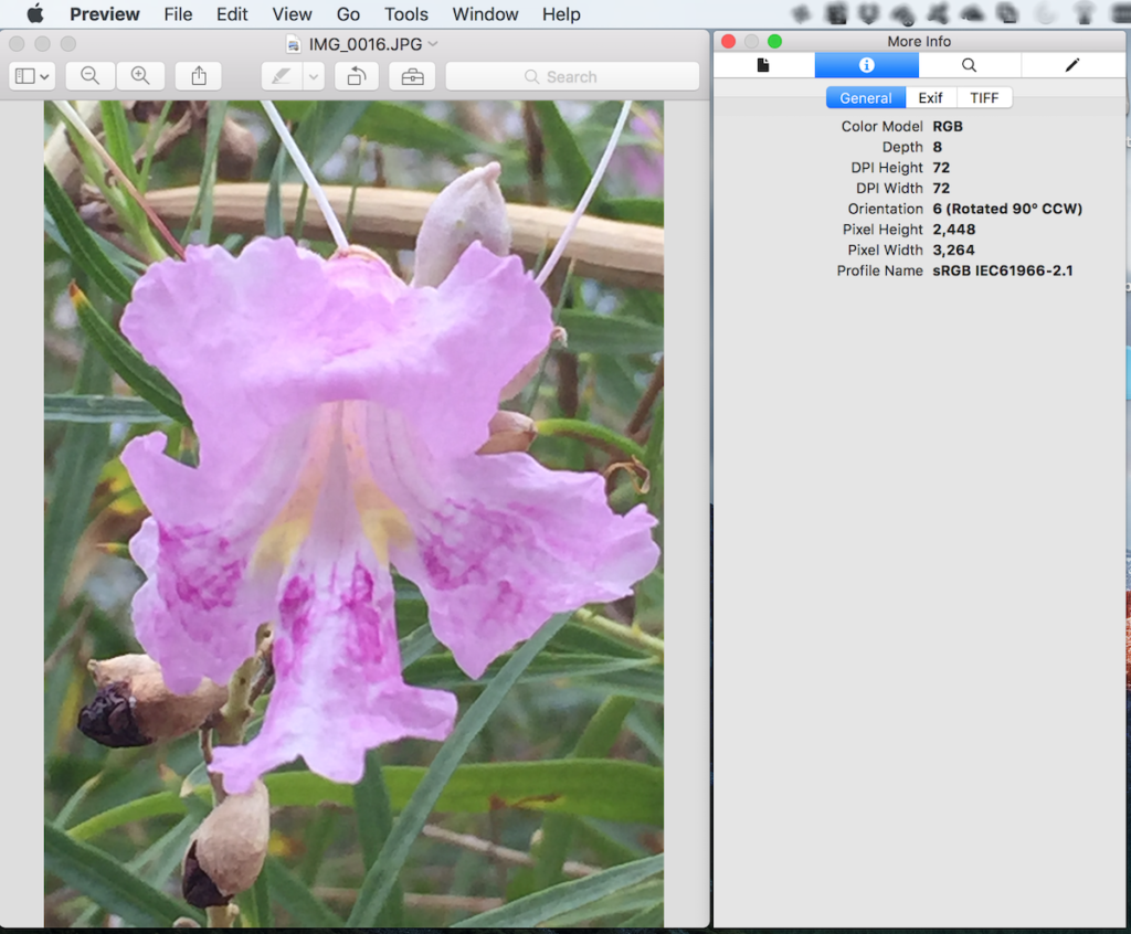 How to remove location information from photos on Mac and Windows