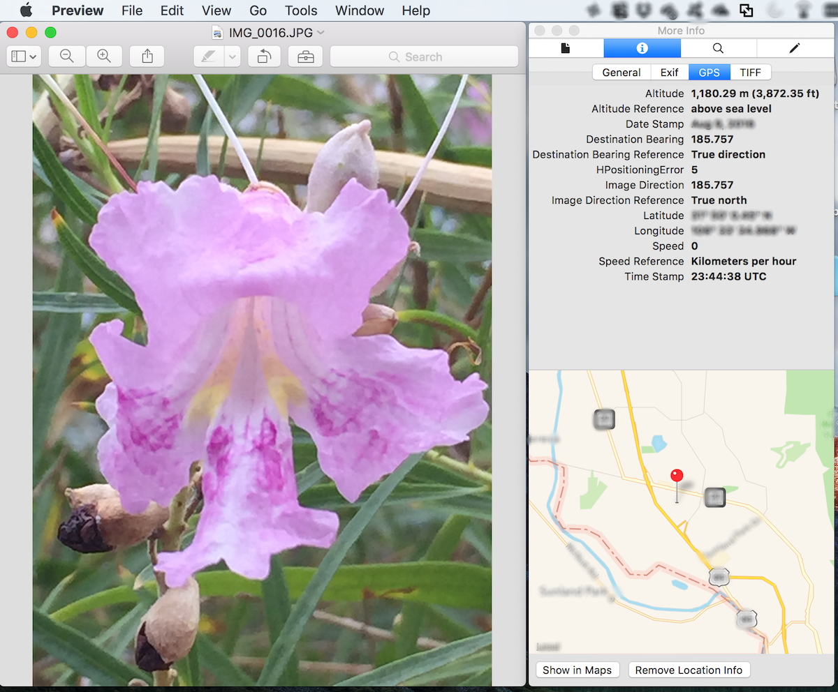 How do we remove location information from photos on a Mac