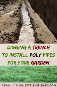 Digging a trench in the backyard for sprinklers can be a daunting task if the soil is rocky and if you do not own or rent a trencher. If you are in a place where the soil is a bit sandy, you will be able able to use this technique to trench, which does not involve a trencher. #gardening #sprinkler #diy