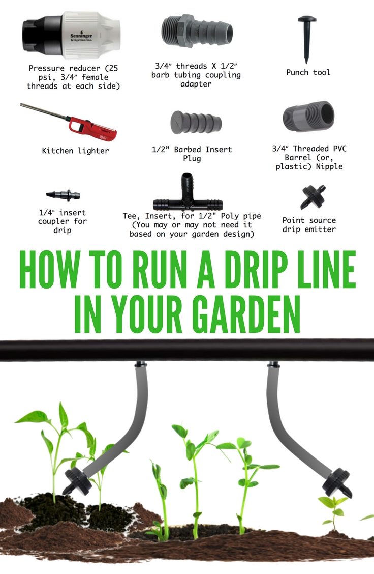 How to run a drip line for your garden plants. The post describes all the details of drip irrigation with pictures.
