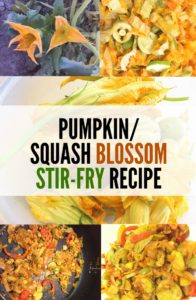 Pumpkin/squash blossom recipe (stir-fry). A delicious seasonal savory delicacy.