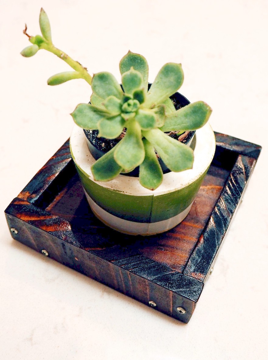 Wooden tray and a succulent planter. #woodworking #diy