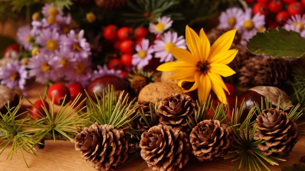 Pine cone with acorn and local flowers for Thanksgiving decoration. #FallDecor #ThanksgivingDecor