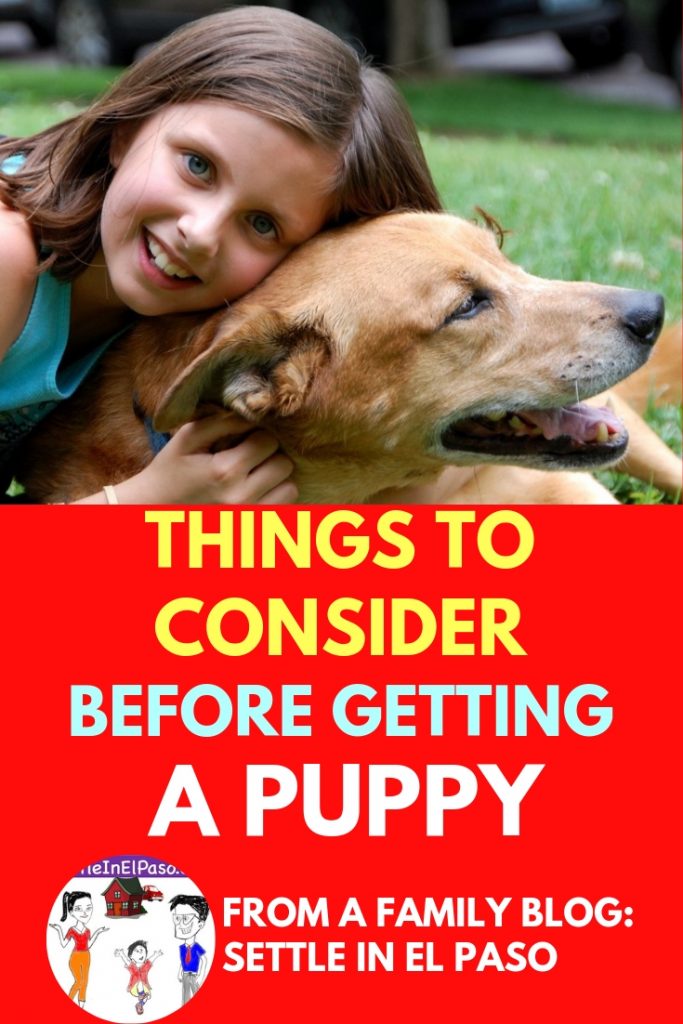 Should I get a dog — A Family Blog